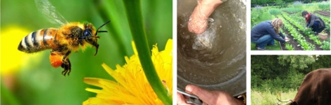 Biodynamic Agriculture and its Background