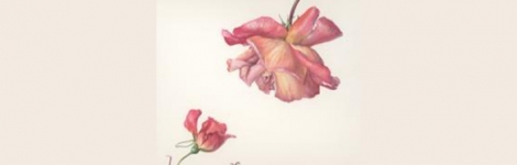 The Wow Factor! – Composition and Colour in Autumn in Watercolour/Coloured Pencil
