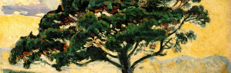 Writing nature: poetry in stone and bark