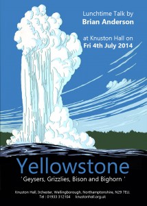 Yellowstone Knuston Flyer